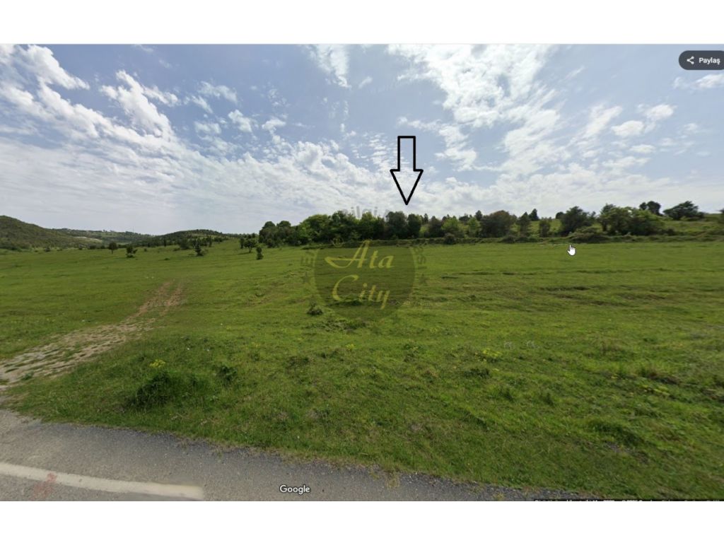 ŞİLE BUCAKLI DA SATILIK ARSA ARLA VASFINDA 3732 M2